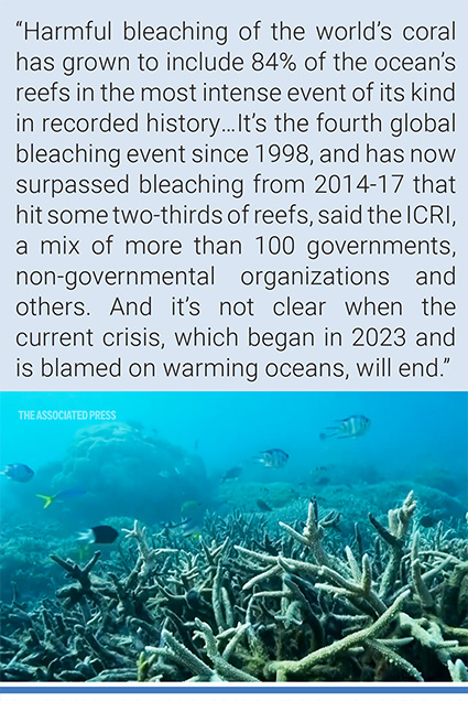Harmful bleaching of the world’s coral has grown to include 84% of the ocean’s reefs in the most intense event of its kind in recorded history. Credit: Associated Press.