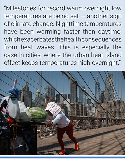 A fruit vendor pushes her cart on the Brooklyn Bridge during a heatwave in New York. Photo: Olga Fedorova/AP.