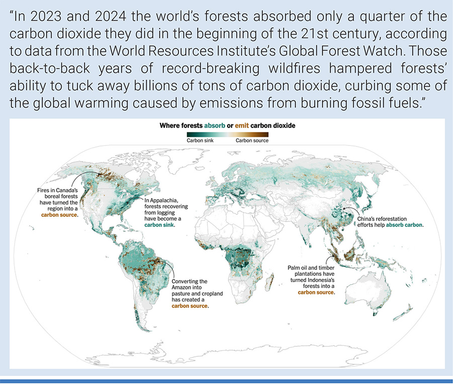 Source: World Resources Institute Note: Data averaged over the years 2001 to 2024. Harry Stevens/The New York Times.