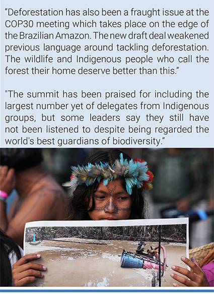 A woman advocates for protecting the Amazon, outside the UB Climate Summit in Belém, Brazil. Photo: Fernando Llano/AP.