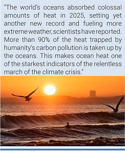 The extra heat makes hurricanes and typhoons more intense, causes heavier downpours of rain and greater flooding, and results in longer marine heatwaves. Photograph: Michael Probst/AP.