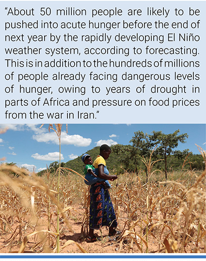 A maize crop affected by lack of rain in Zimbabwe. ‘The biggest food security impact, in southern Africa, will be during the 2027 to 2028 lean season,’ one expert said. Photo credit: Aaron Ufumeli/EPA.