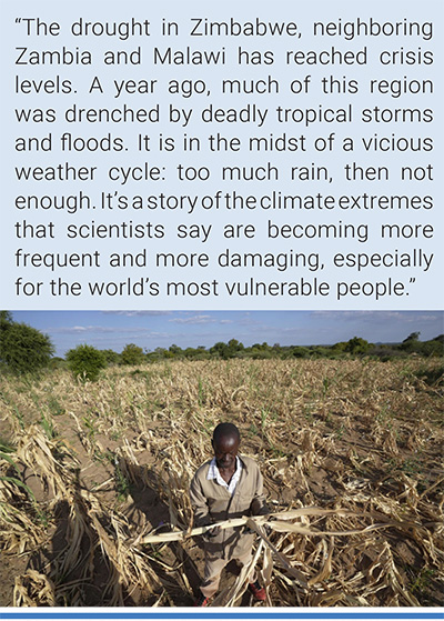 James Tshuma, a farmer in Mangwe district in southwestern Zimbabwe, stands in the middle of his dried up crop field amid a drought, in Zimbabwe, March, 22, 2024. Photo: Tsvangirayi Mukwazhi/AP.