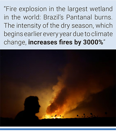 A man observes the smoke coming from the fire in the Pantanal, in Matto Grosso do Sul, Brazil on June 12. Photo: Ueslei Marcelino/Reuters.