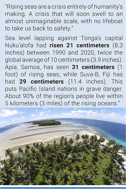 A section of land between trees is washed away due to rising seas in Majuro Atoll, Marshall Islands. Photo: Rob Griffith/AP.