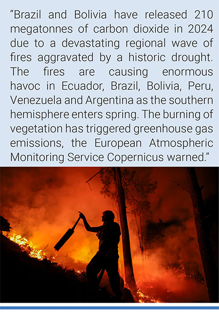 A man is part of a group of firefighters and neighbors fighting a forest fire in Intiyaco, Córdoba province Argentina, on Sept. 23. Photo: STR/EFE.